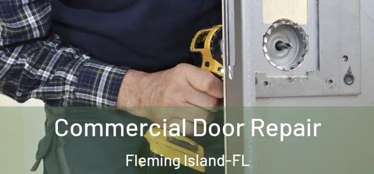  Commercial Door Repair Fleming Island-FL