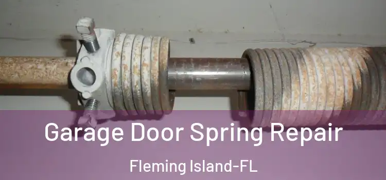  Garage Door Spring Repair Fleming Island-FL