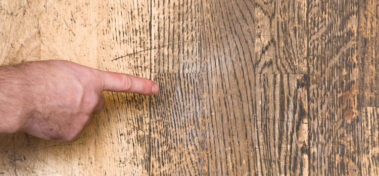 Wood Door Scratch Repair in Fleming Island